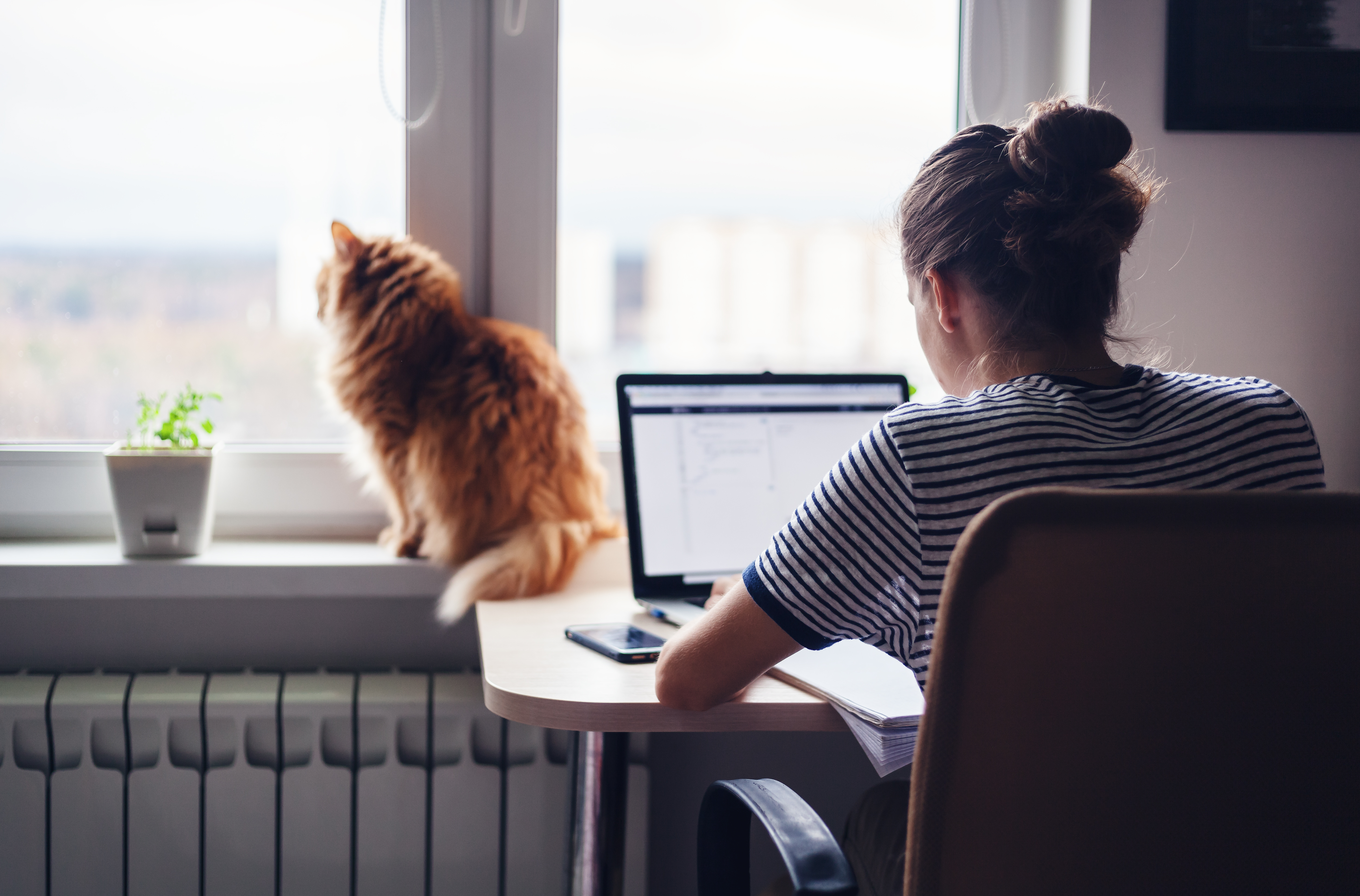 jonge vrouw volgt een sessie via haar laptop