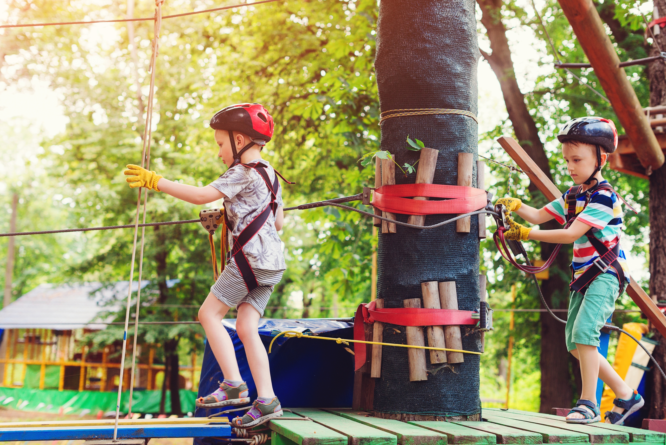 kinderen op klimparcours in de bomen