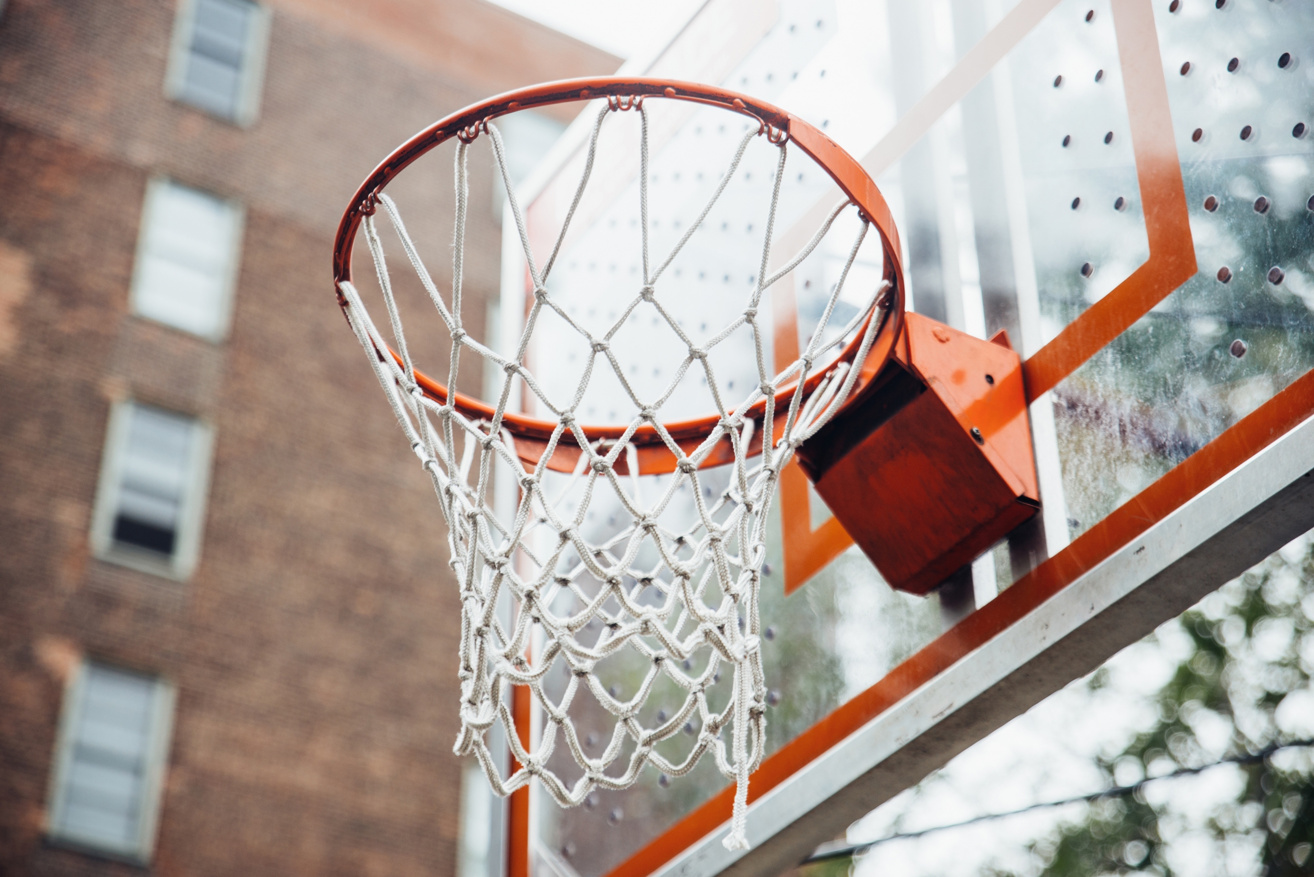 basketring