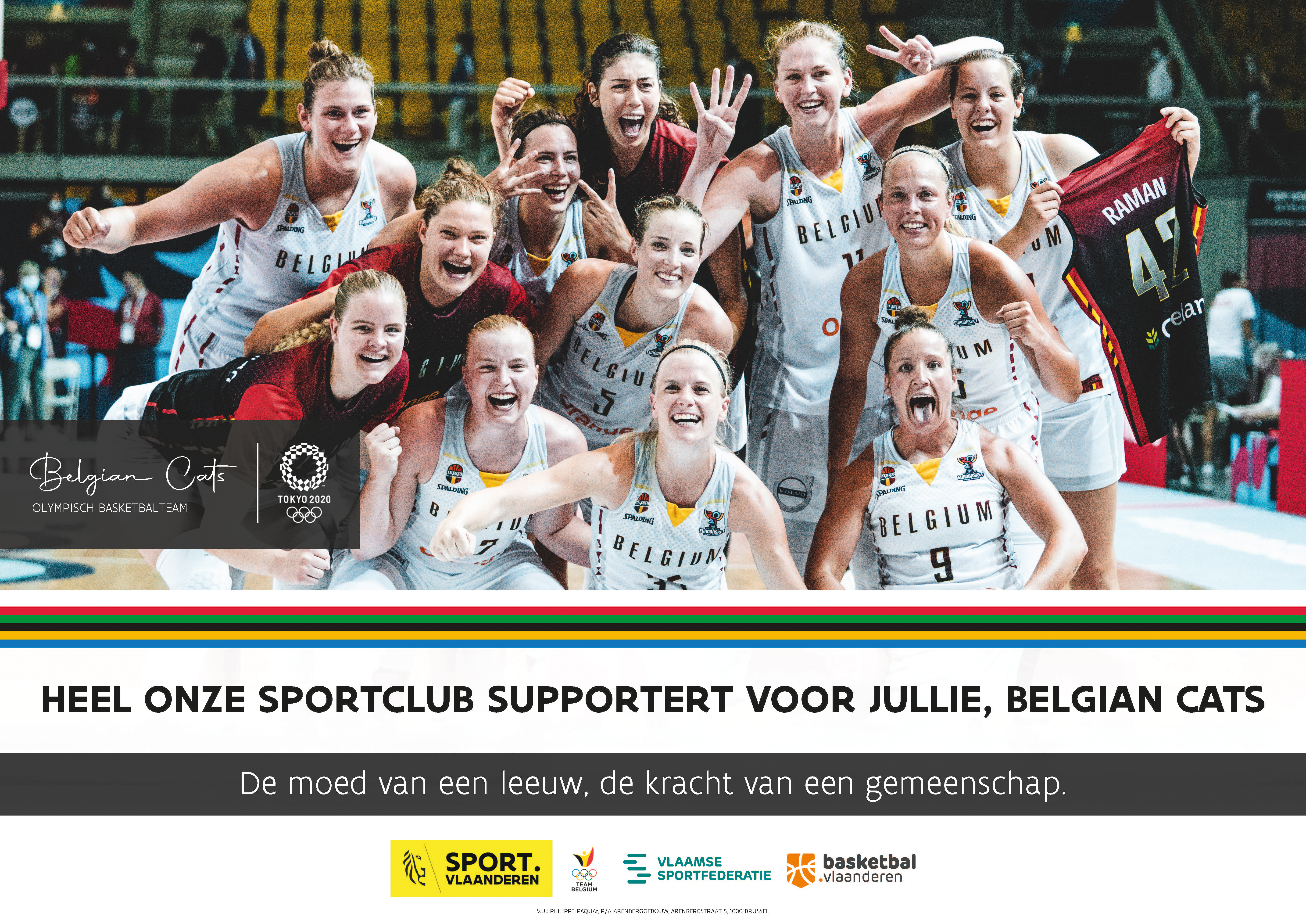 Belgian Cats