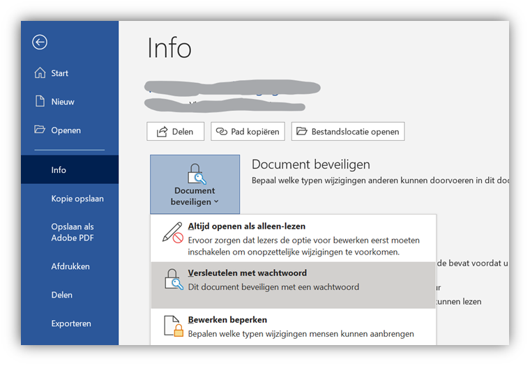Word versleutelen