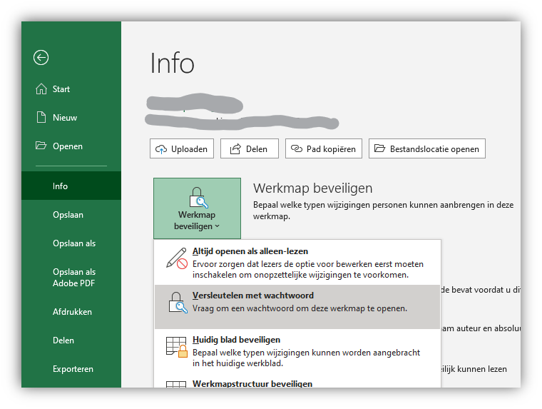 excel versleutelen