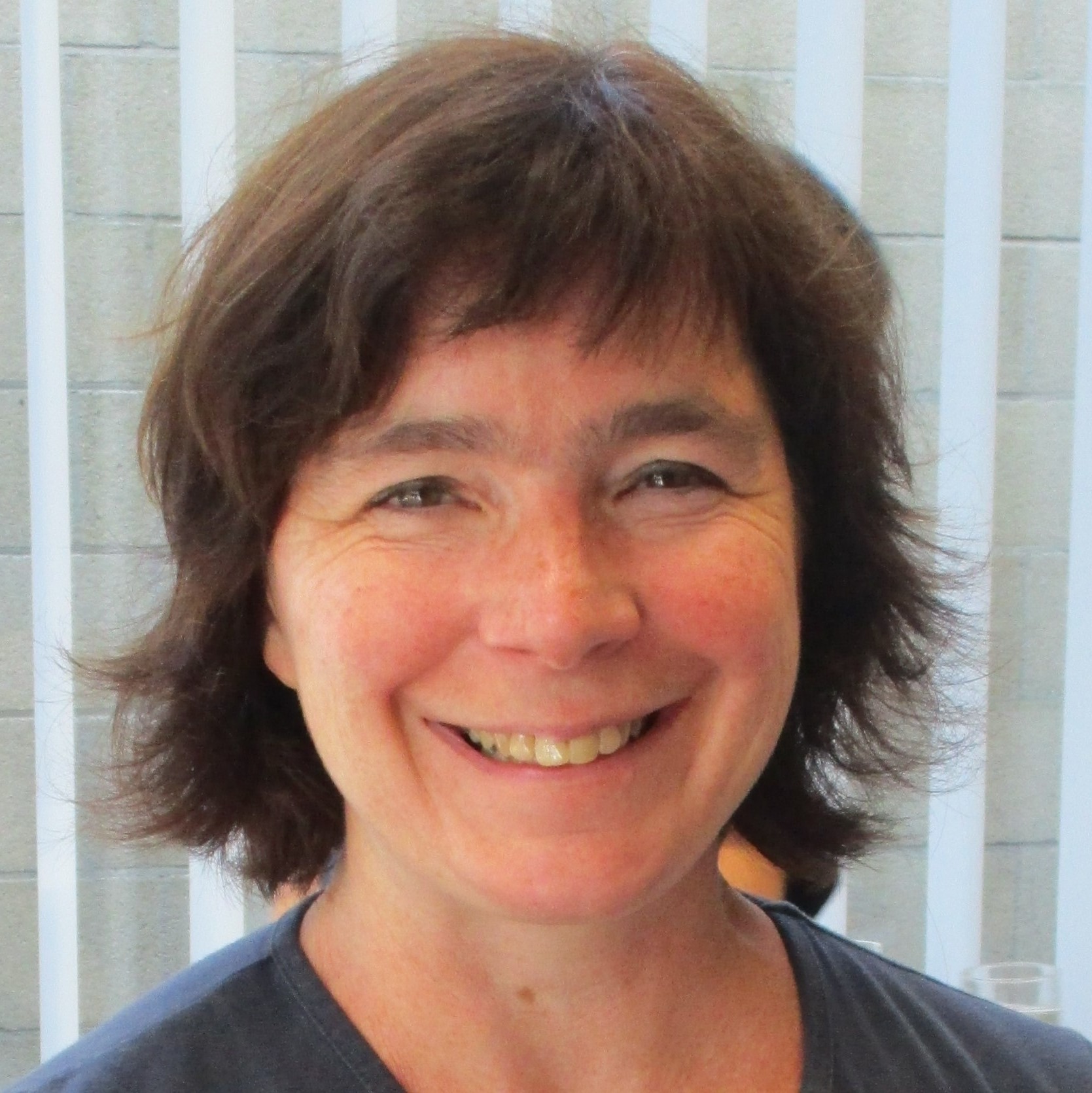 Kristien Haezebrouck