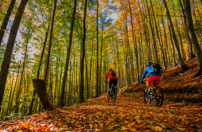 2 mountainbikes rijden in het bos