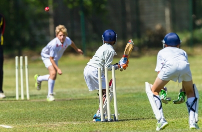 cricket