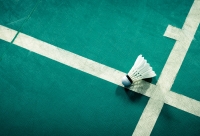 badmintonpluimpje