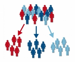 Foto: segmenting